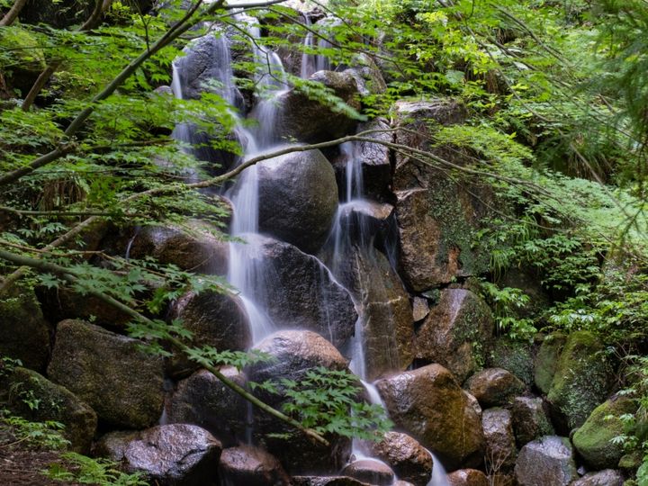 All About ニュース編集部が全国250人を対象に実施した「冬の観光に関するアンケート」の調査結果から、冬に行きたい「鳥取県の滝」ランキングを発表！ 3位「龍王滝」を抑えた同率1位は？