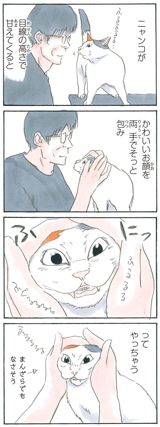 ふにってやっちゃう （C）にごたろ／KADOKAWA