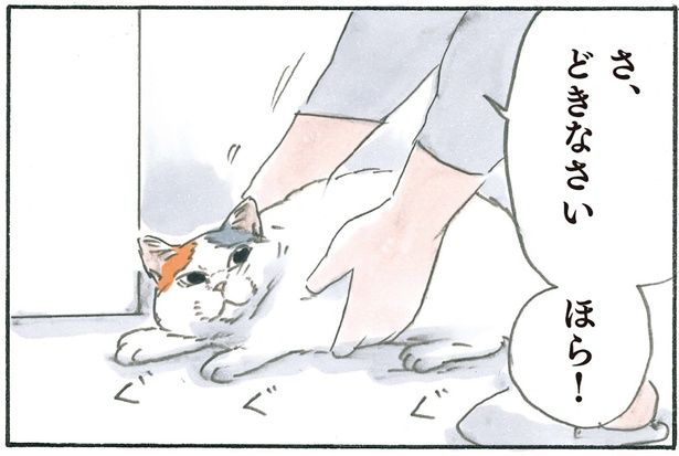 さ、どきなさい！ （C）にごたろ／KADOKAWA