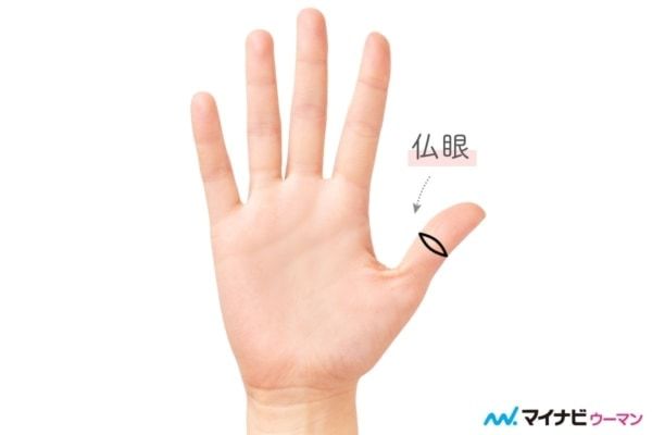 珍しい手相：仏眼