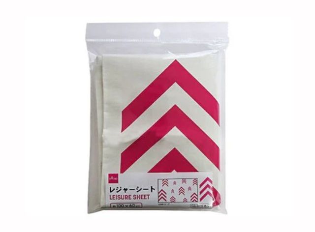 ダイソー レジャーシート