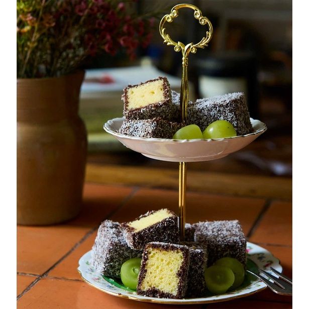 ラミントン 撮影／野口健志、(c)安田真理子／KADOKAWA