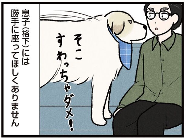 「格下」には座らせない！ ソファを縄張りにする大型犬が超厳しい （C）今日のルンルン、黒羽沙乃／KADOKAWA
