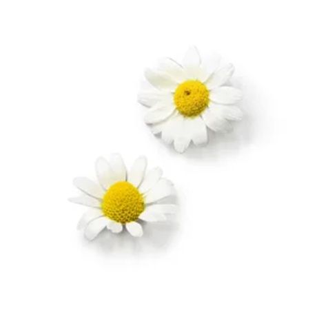 朝日酒造のKUBOTA GINから季節限定蒸留シリーズの第2弾「KUBOTA GIN よそふ春」登場