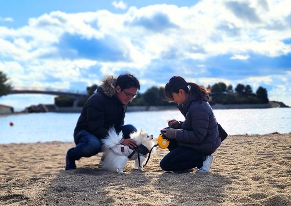お湯を注ぐと手作り感が蘇るフリーズドライ・ドッグフード「そららのるるる」登場！獣医師共同開発