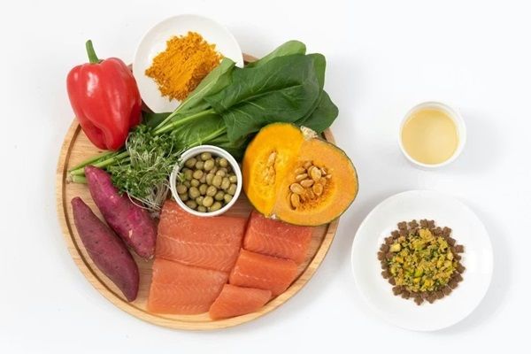 お湯を注ぐと手作り感が蘇るフリーズドライ・ドッグフード「そららのるるる」登場！獣医師共同開発