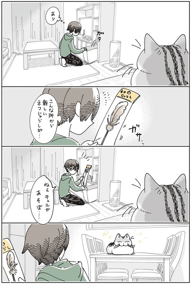 新しいネコじゃらしが… （C）キュルZ／KADOKAWA