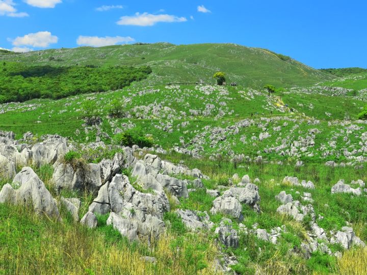 All About ニュース編集部が全国250人を対象に実施した「旅行先に関するアンケート」の調査結果から、長期休みに行きたいと思う「山口県の旅行先」ランキングを発表！ 2位「秋吉台」を抑えた1位は？