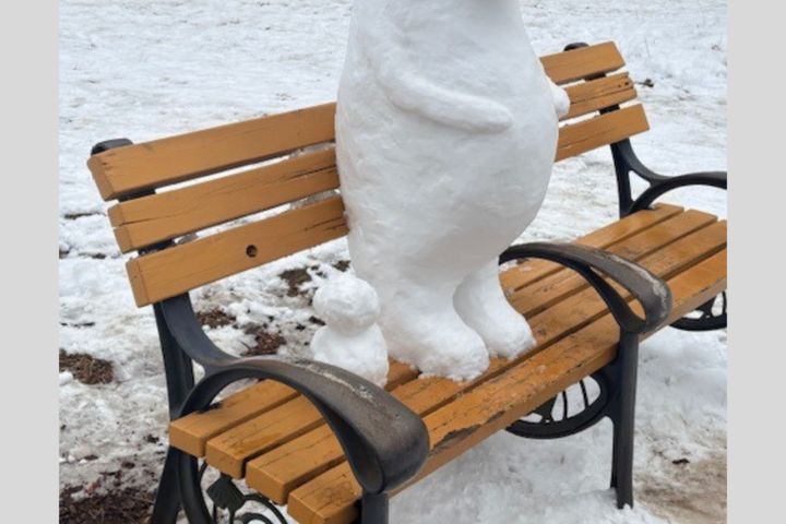 東京都内の千代田区でも最大5センチの積雪が観測された8日。普段、東京ではなかなか雪が降らないため、青森出身の筆者は久しぶりの雪にテンションが上がり、雪景色を楽しむため、当初の予定を変更して吉祥寺にある井の頭恩賜公園を訪れました。