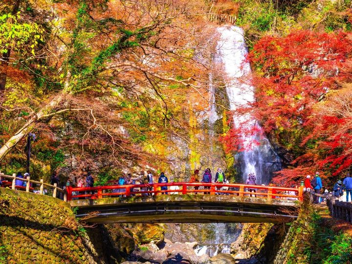 All About ニュース編集部は、全国10～60代の男女250人を対象に「自治体」に関する独自のアンケート調査を実施。読むのが難しいと思う「大阪府の自治体」で1位に選ばれたのは？