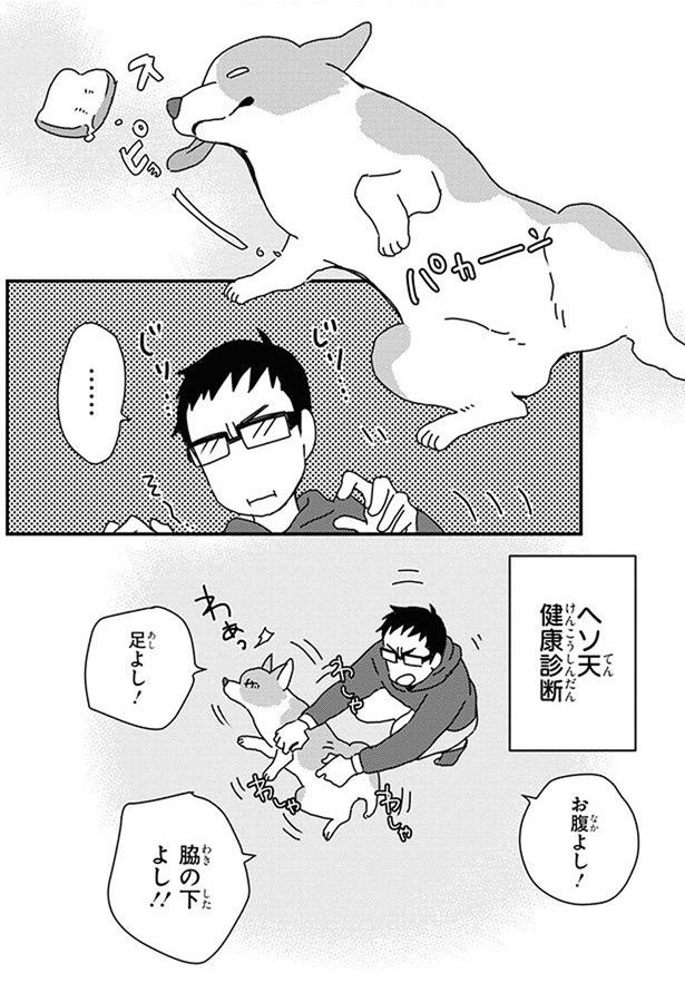 ヘソ天健康診断 (C)らくだ／KADOKAWA