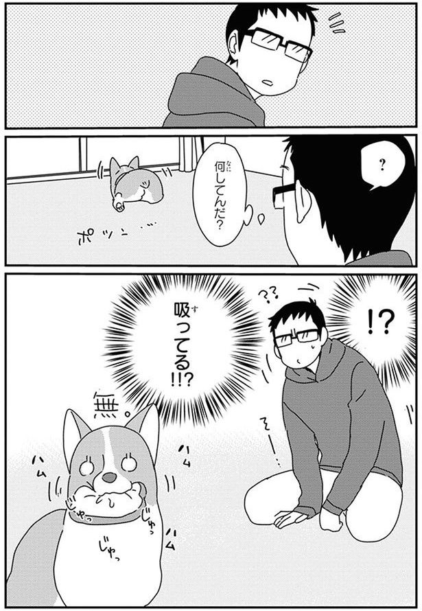 何してんだ？ (C)らくだ／KADOKAWA