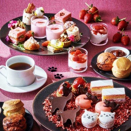 猫好きはオズモールに集合！2月22日「猫の日」に合わせたスペシャル企画が登場