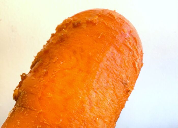 ペットボトルのフタが〈家事の救世主〉に大変身。目からウロコの0円活用術♡