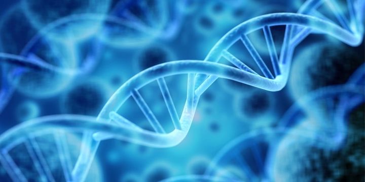 遺伝子を捨てる進化もある