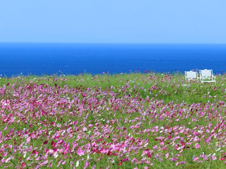 All About ニュース編集部が全国250人を対象に実施した「自治体に関するアンケート」の調査結果から、読むのが難しいと思う「高知県の自治体」ランキングを発表！ 2位「奈半利町」を抑えた1位は？