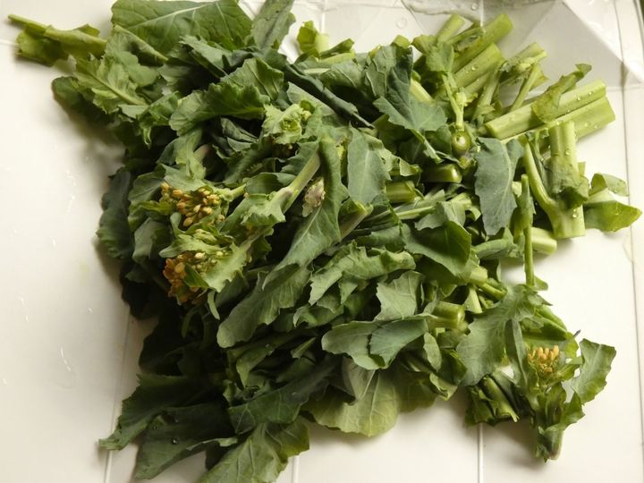 パパっと作れる！「菜の花とベーコンのガーリック炒め」