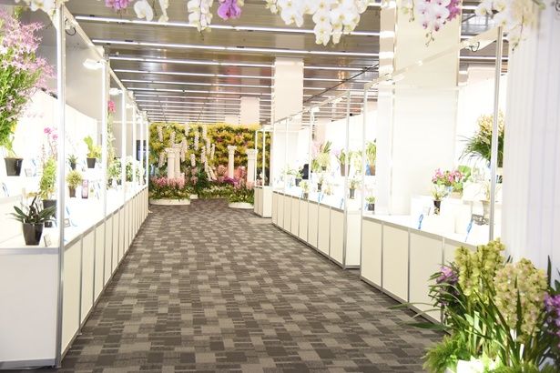 企画展示やコンテスト出品作品など、見どころは盛りだくさん！圧倒されるスケールだ 撮影：ソムタム田井