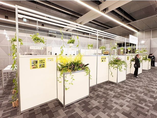 会場入り口から見て、右奥にある「オーキッド・カフェ」のスペース