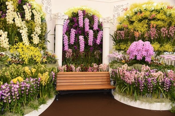 美しい蘭の花で飾られた「オーキッド・パレス」 撮影：ソムタム田井