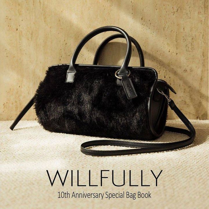 WILLFULLY 10th Anniversary Special Bag Book