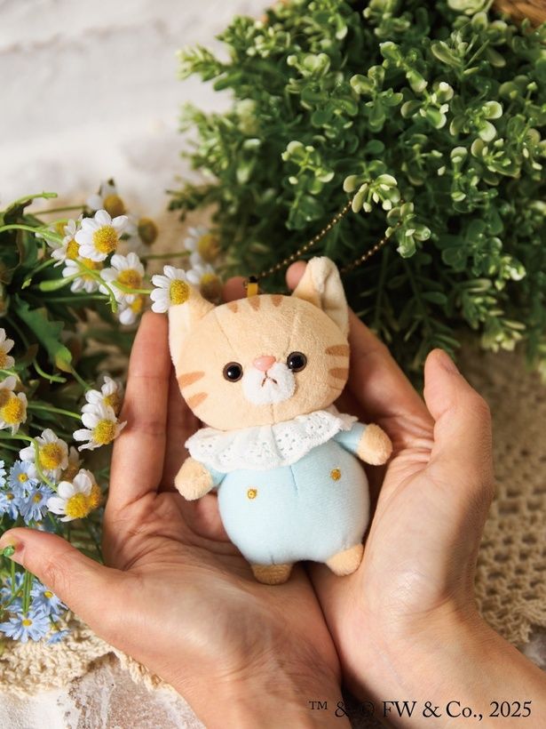 手のひらにちょこんと収まる愛らしさ。ピーターと同じく、きらっとした立体感のある目がたまらない