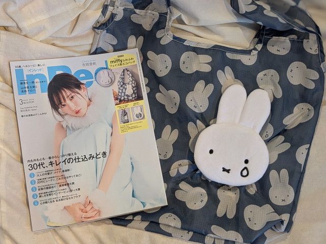 InRed通常号とミッフィーふわふわフェイス形エコバッグ全体