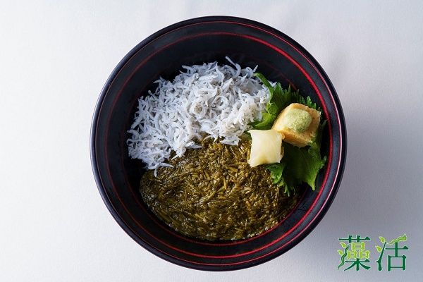 福岡県の海の恵みを存分に味わえる「旅するふくおかの魚フェア2026 東京編」開催中！