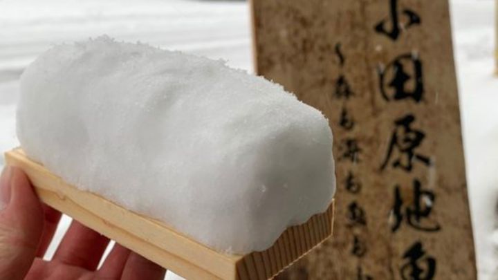 厳しい寒さが続く中、神奈川県小田原市の老舗「山上（やまじょう）蒲鉾店」の公式X「山上蒲鉾店｜小田原蒲鉾の職人集団」（@yamajoukamaboko）が投稿した写真が、多くの人の心を和ませています。