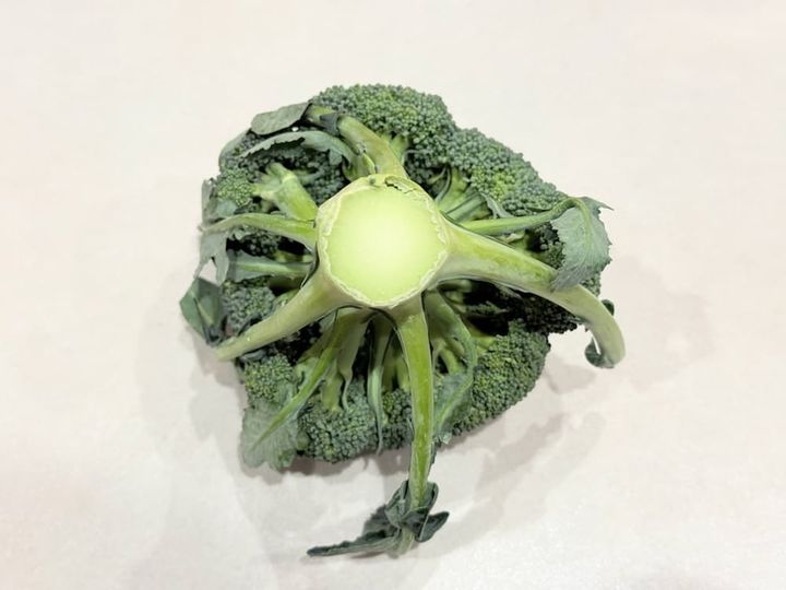 茎の切り口も確認 青髪のテツ