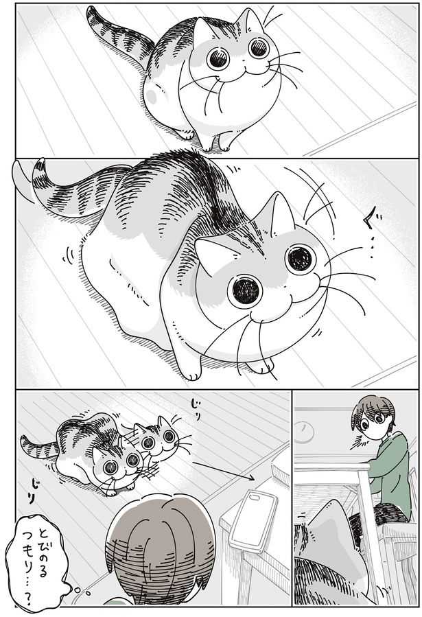 とびのるつもり…？ （C）キュルZ／KADOKAWA