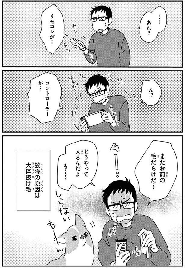 またお前の毛だらけだ～ (C)らくだ／KADOKAWA