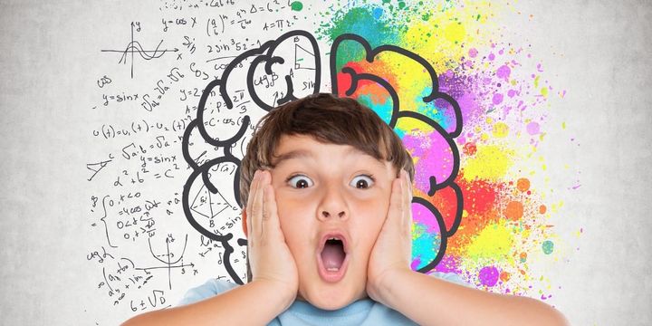 美しさは脳が「驚き」を解決した時に立ち上がる