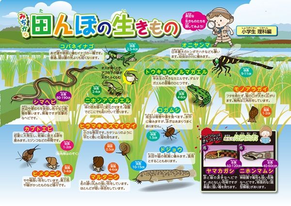 濡らして貼る「お風呂ポスター」の専門ECに注目！知育以外も多数、オリジナル製作も