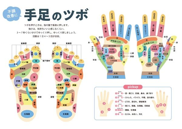 濡らして貼る「お風呂ポスター」の専門ECに注目！知育以外も多数、オリジナル製作も
