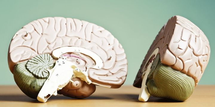 政治理念より単純な「敵味方判定」が強いのはなぜか？