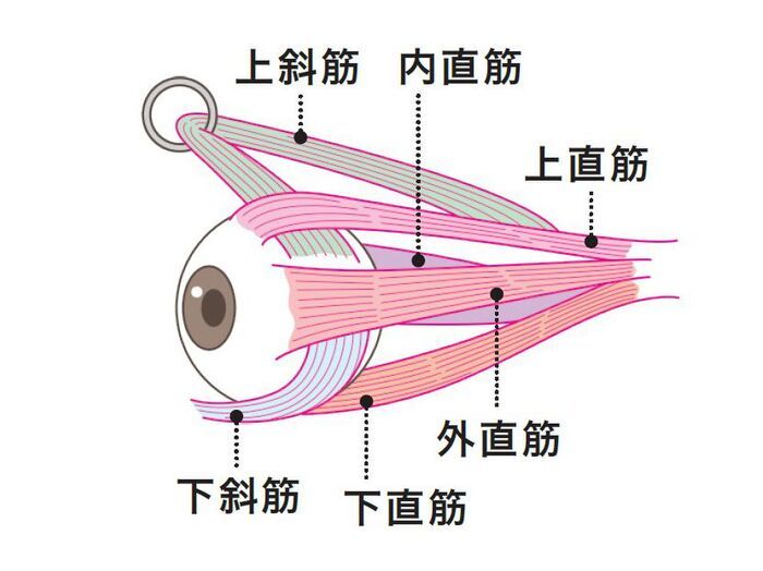 【たるみリフト】10秒で別人級に！〈50代の目の下がり〉を解決して目力が一気にアップする最強メソッド！