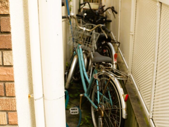 捨てても全然困らなかった…！整理収納アドバイザーが「今年、最初に処分したモノ」3つ