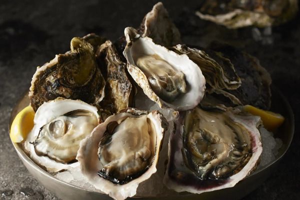【東京都・大阪府】ロウリーズ・ザ・プライムリブで、東日本・西日本の個性を楽しめる2種類のフレッシュオイスター提供！