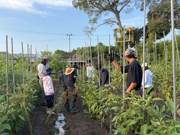 春休み＆GWに4拠点で小中学生向け合宿英語プログラム「U-GAKU English Camp」開催！