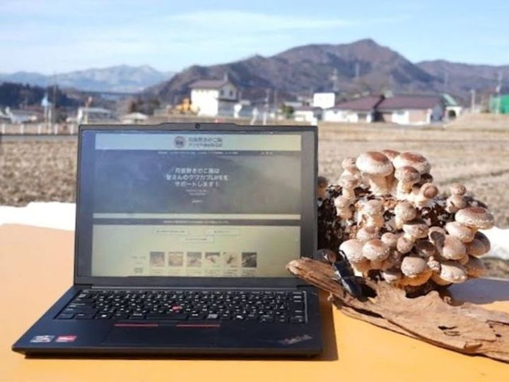 月夜野きのこ園 クワガタ菌床販売部 サイトトップ