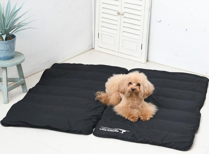 安いから不安だった…1万円以内で買える薪ストーブが想像以上すぎた