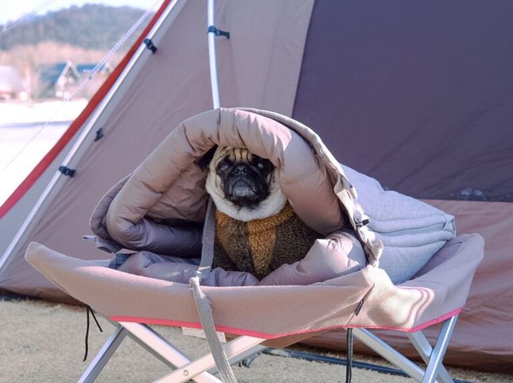 安いから不安だった…1万円以内で買える薪ストーブが想像以上すぎた