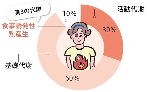 食べただけでエネルギーを消費する「第3の代謝」に注目