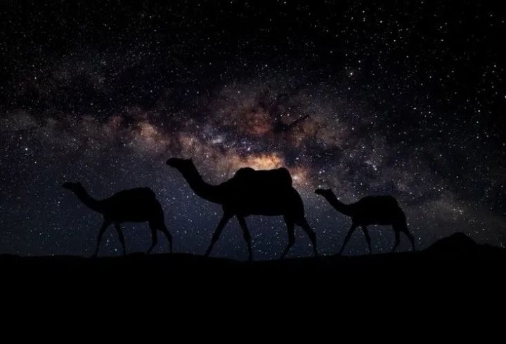 ジャイサルメールの砂漠キャンプ