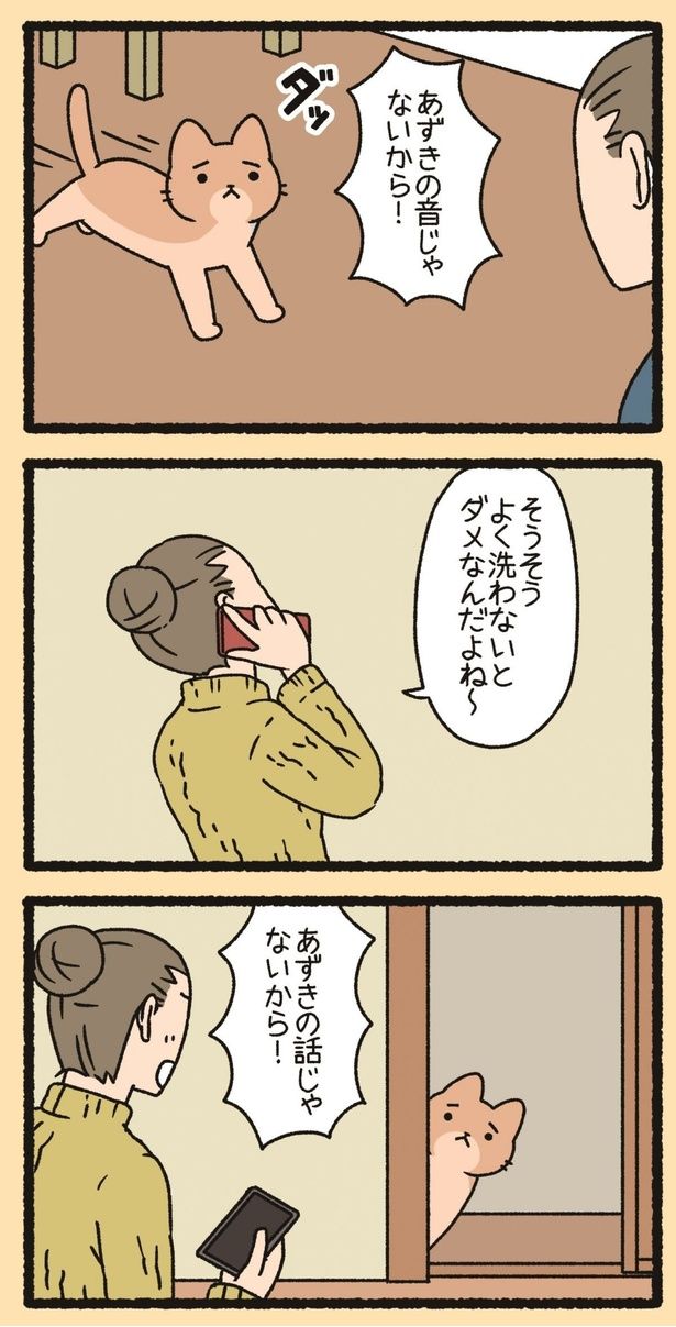あずきの話じゃないから！ （C）ぱんだにあ／竹書房