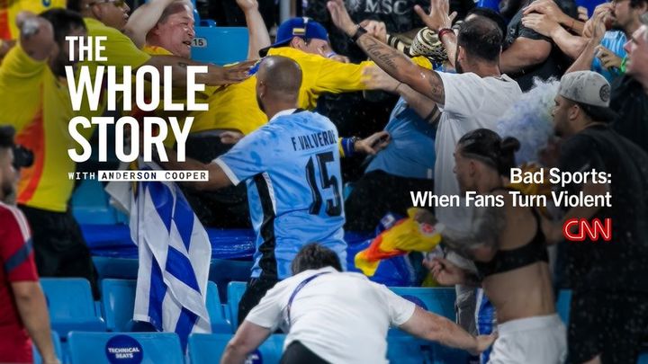 ザ・ホール・ストーリー スポーツファン 暴力行為