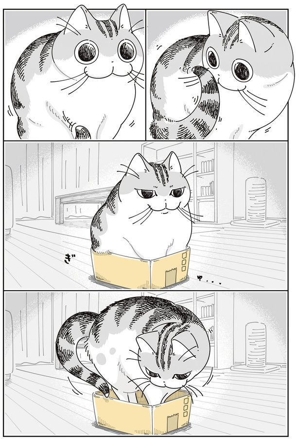 なんか…小さい…？ （C）キュルZ／KADOKAWA