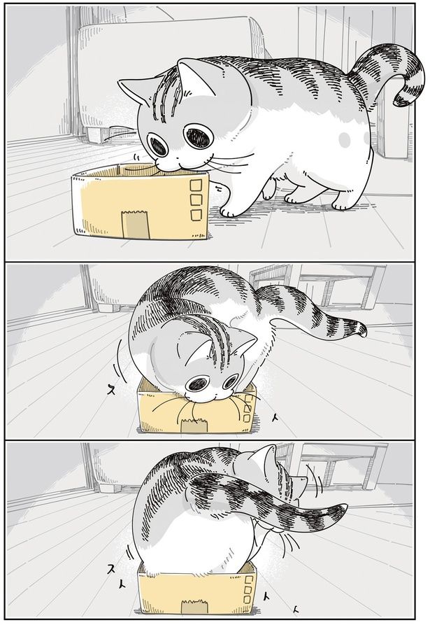 箱に入ろうと （C）キュルZ／KADOKAWA