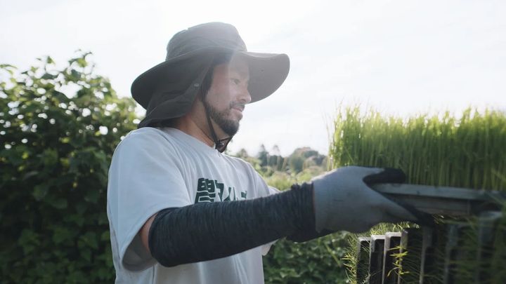 ご飯のお供専門家長船クニヒコさんのお米づくり、苗を育てる